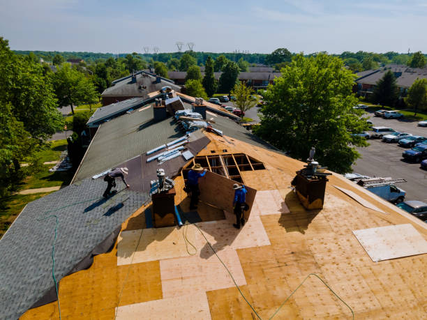 Best Metal Roofing Contractor  in Darmstadt, IN