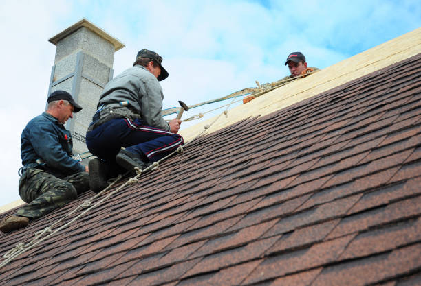Best Metal Roofing Contractor  in Darmstadt, IN